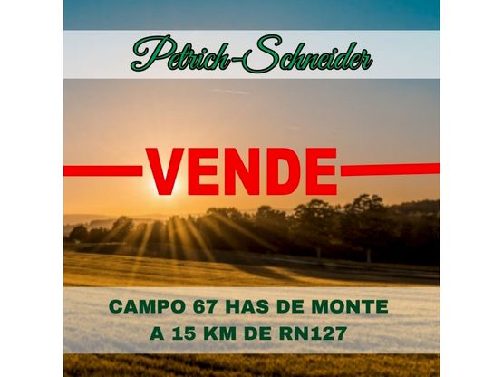Se vende campo de 67 has de monte a 15 km de Ruta N127