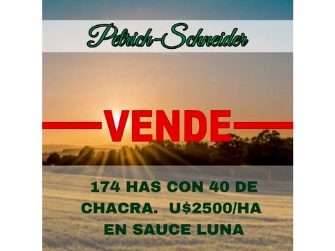 se vende campo de 174 has con 40 de chacra en sauce luna