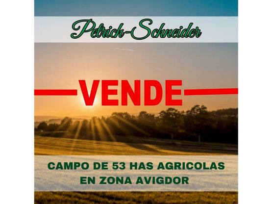 Se vende 53 has agrícolas en zona Avigdor