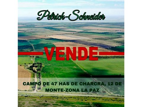 se vende campo con 47 has de chacra y 12 has de monte en zona la paz