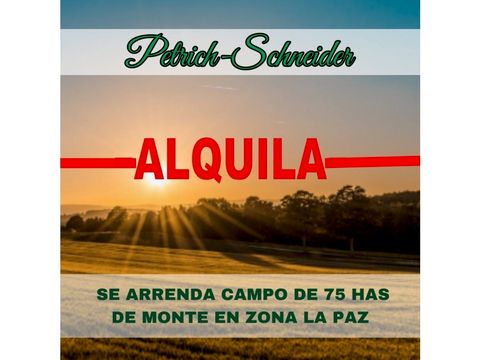 se arrendan 122 has de monte en zona la paz