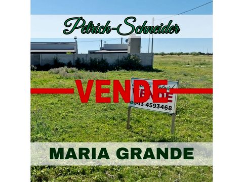 se venden 4 lotes en maria grande