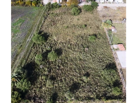se venden 05 hectareas en maria grande