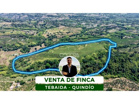 venta de finca en tebaida quindio colombia