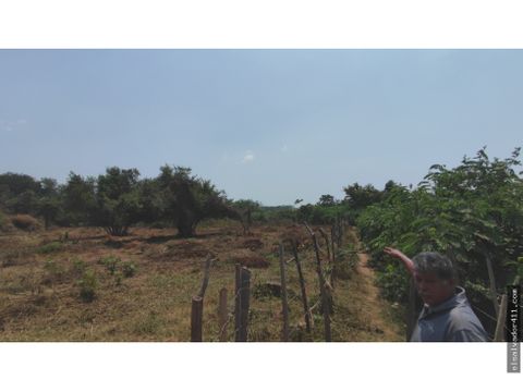 10 manzanas in playa san diego water fruit trees near playa toluca