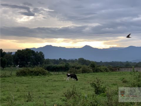 terreno en venta cerro gordo valle de bravo