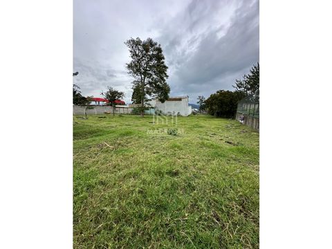 terreno con uso de suelo mixto en venta san nicolas cartago p543