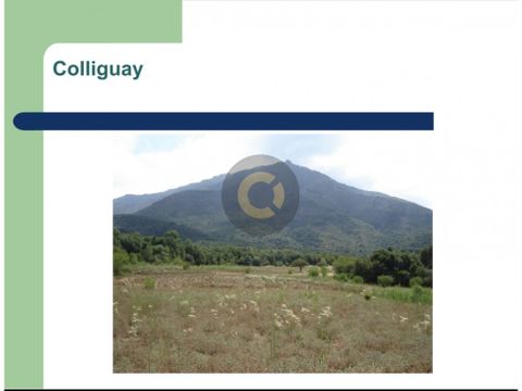 vta fundo colliguay 900 hectareas vc 529 cglogo