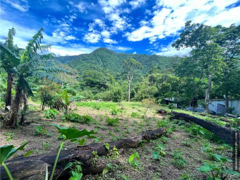 1462m2 mountain view lot perfect for your family home garden