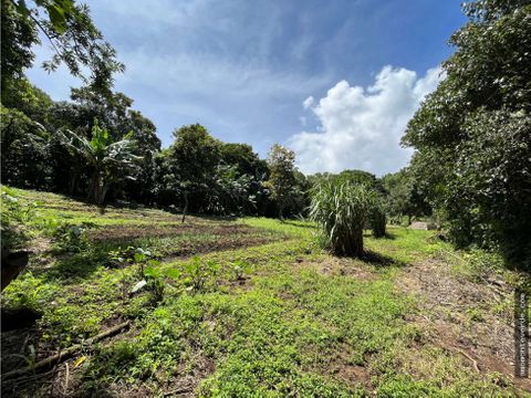 permaculture paradise 6070m organic garden lot in monteverde
