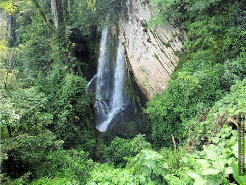 finca con cascada y manantial