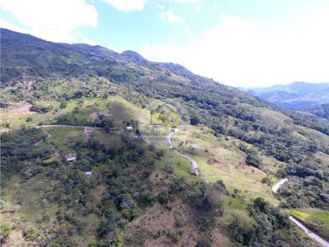 venta finca en san francisco vereda pailania 26 hectareas