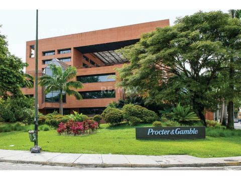 alquiler oficina la trinidad en la torre pg de 283 m2