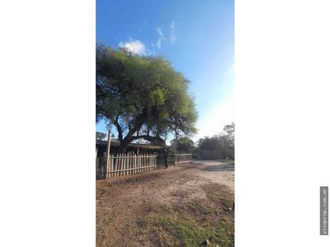 campo en mariano boedo formosa