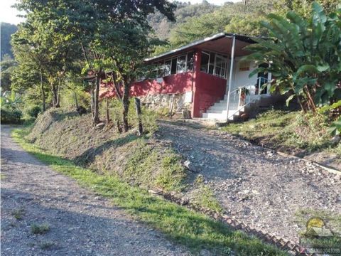 casa lote en la mesa alto frisol