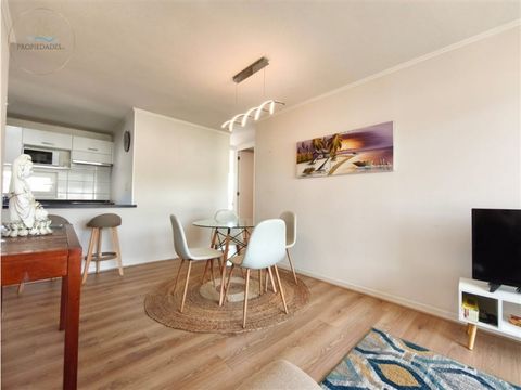 departamento en arriendo en lomas de papudo 1350