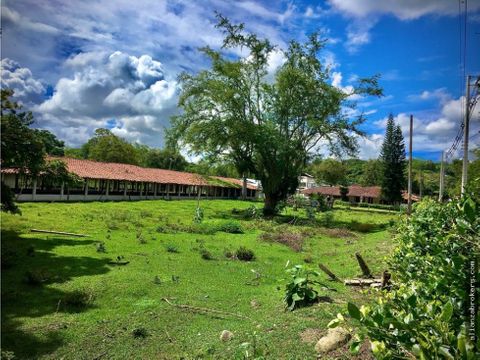 en buga granja avicola cinco galpones 45000 aves 23 hectareas