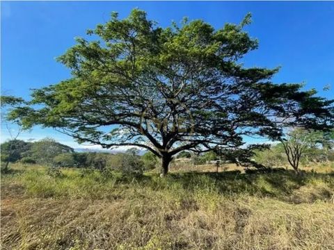 en venta hermoso lote plano en la ceiba de orotina