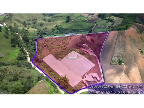 finca agricola productiva con caballerisas en el santuario