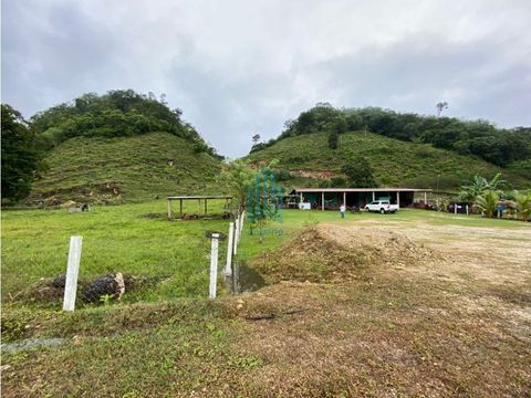 finca de 23 caballerias cerca de machaquila poptun peten