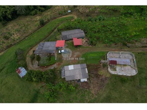 finca de 52 cuadras en ganado platano montaje porcicola agua propia