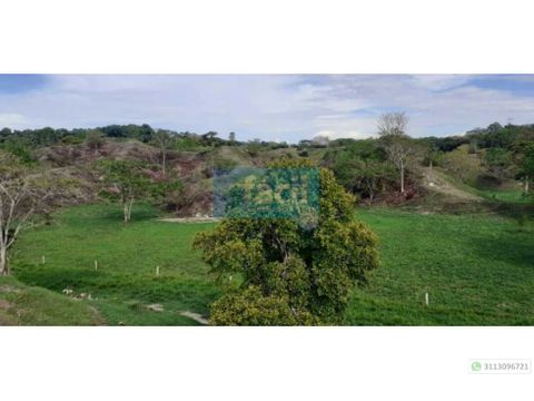 venta finca en zambito cimitarra ruta del sol