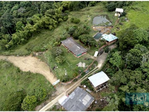 finca en pance vereda el banqueo