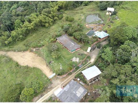 finca en pance vereda el banqueo