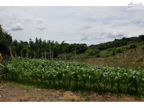 finca en venta la cabana