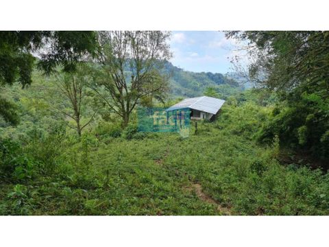 finca ganadera en buga la magdalena vereda el janeiro