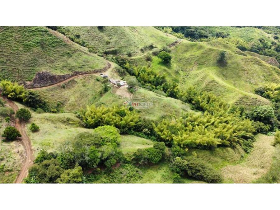 finca ganadera de 64 cuadras en quebrada nueva valle del cauca