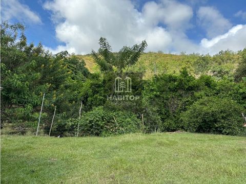 finca ganadera ventavia panorama yotoco valle