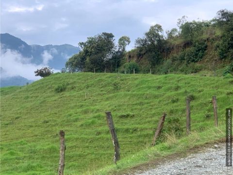 finca lote gallinazo villamaria caldas manizales