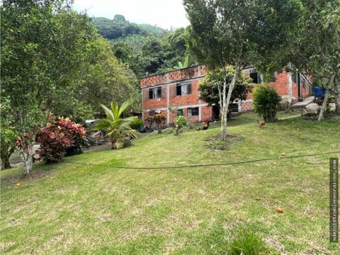 finca recreo o habitacion el guineo la cabana manizales