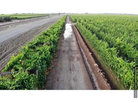 venta de hermosa finca 25 has en los alamos maipu