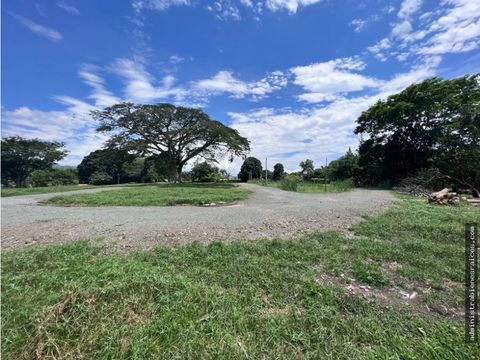 lote comercial institucional servicios santagueda palestina manizales