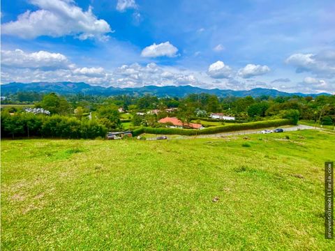 lote comercial para arriendo en llanogrande