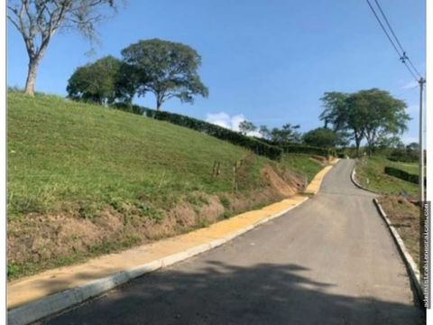 lote condominio campestre kilometro 41 vereda palermo manizales