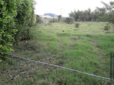 lote campestre las margaritas arauca caldas