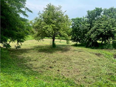 lote de 1200m2 para venta en isla de baru marina baru