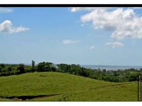 lote en los destiladeros pedasi con vista al mar