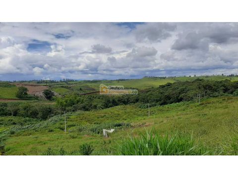 lote en venta hectarea la marqueza timbio cauca colombia