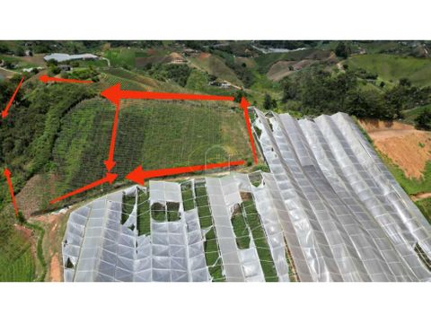 lotes con escrituras en proindiviso y area de 2000 m2 en marinilla