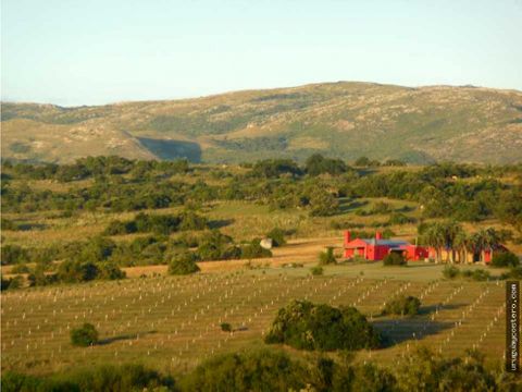 campo en un entorno sonado con muy buen casco