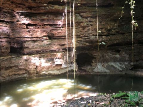 rancho con cenote 5 minutos de valladolid