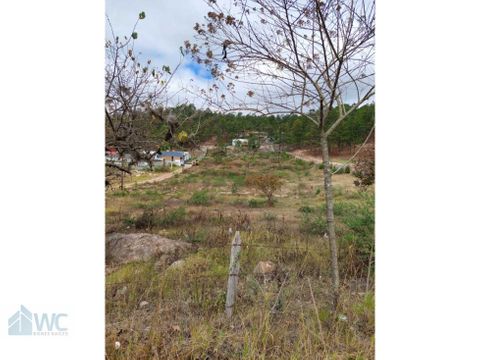 renta y venta de terreno carretera que conduce a tatumbla