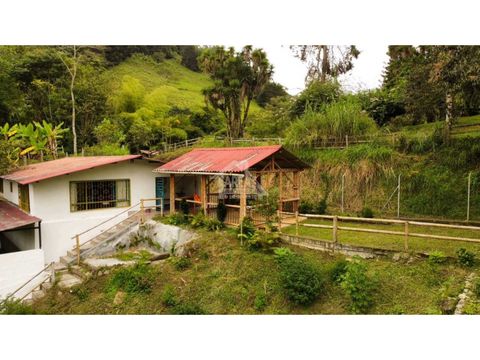 se vende casa campestre en salento quindio