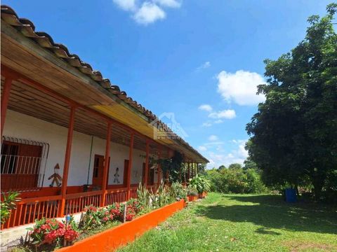 se vende finca en montenegro quindio