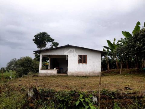 se vende finca en filandia vereda el congal