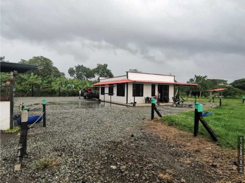 se vende finca en pueblo tapao